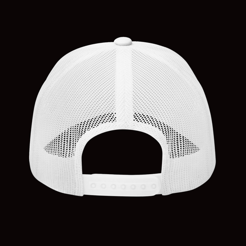 Casquette brodé Taxer les branleurs